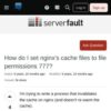 ubuntu 12.04 - How do I set nginx's cache files to file permissions 777? - S